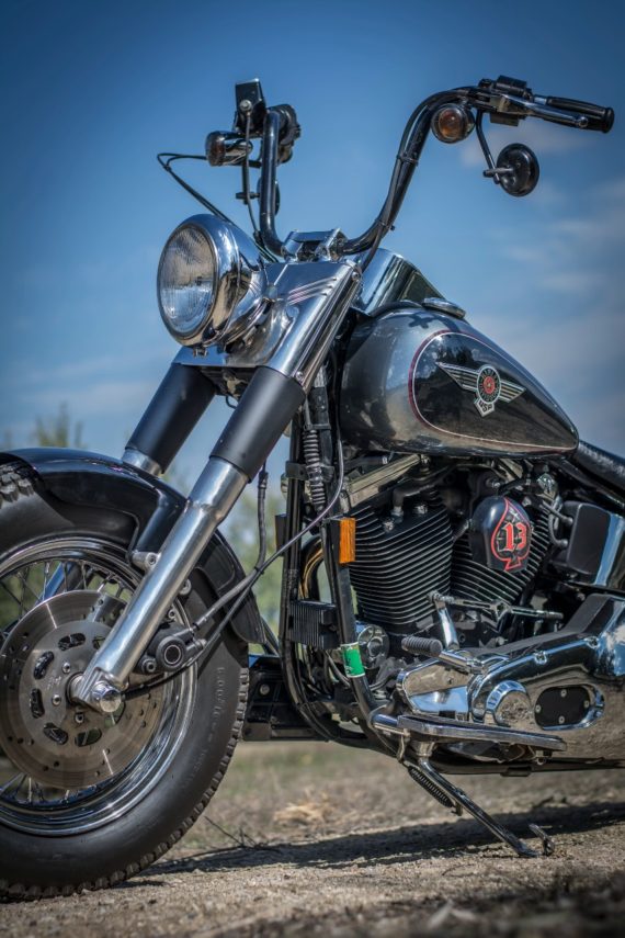HD SOFTAIL SPECIAL 94 (2)