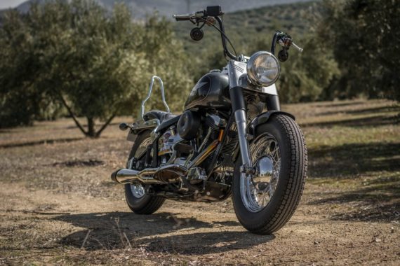HD SOFTAIL SPECIAL 94 (3)
