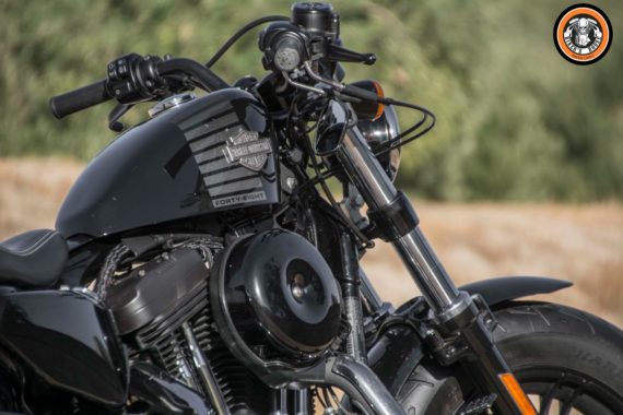 12. HD FORTY EIGHT (9)